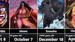 Birthday Of One Piece Characters
