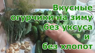 Самый вкусный и простой рецепт засолки огурцов холодным способом