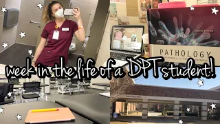 A WEEK IN THE LIFE OF A PHYSICAL THERAPY STUDENT