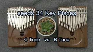 C Tone vs B Tone - Seeds 34 Key Pisces Kalimba