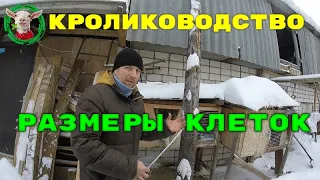 Кролиководство и размеры клеток - краткий обзор