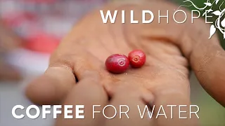 The community impact of shade-grown coffee | WILD HOPE