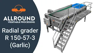 Radial grader R 150-70-3 pitch 100 with garlic | Allround Vegetable Processing