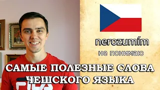 Самоучитель чешского языка Как быстро выучить чешский язык Первые и самые полезные слова