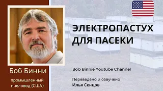 Как Боб Бинни защищает пасеки от медведей? - Электропастух для пасеки (США)