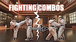 Kyokushin Karate Fighting Combinations #1 (advanced)