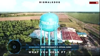 BigWalkDog - What You Hear Pt 2 (CHOPPED & SCREWED)