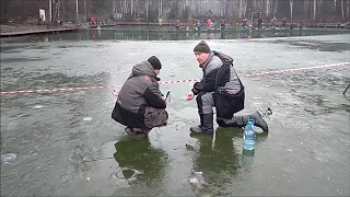 Поклёвки форели со льда на активные и пассивные снасти. Нижний пруд.