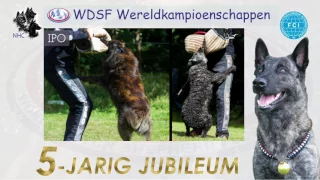 Oproep van WC World Dutch Shepherd Federation 2018