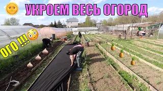 ЛУЧШИЙ СПОСОБ ПОСАДКИ ОГОРОДНЫХ КУЛЬТУР !!!