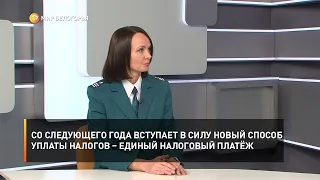 Со следующего года вступает в силу новый способ уплаты налогов – единый налоговый платёж