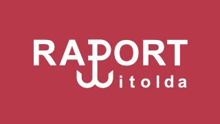 Raport Witolda 1/11