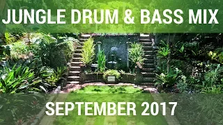 ► Jungle Drum & Bass Mix - September 2017