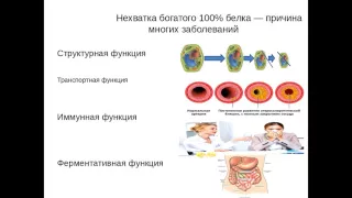 Вэлнес для клиентов Ания Кункушева