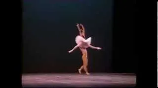 Corsaire pas de deux Nina Ananiashvili Patrick Dupond