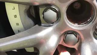 Tesla Brakes squealing? Here's the fix! How to get rocks from dust cover