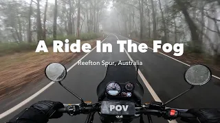 POV RE Himalayan in the Fog, Reefton Spur, Victoria, Australia