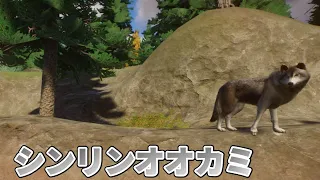 【Planet Zoo】シンリンオオカミの飼育エリアを作成！！#4【プラネットズー】