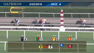 Gulfstream Park Carrera 4 - 22 de Febrero  2019