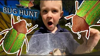 BUG HUNT for REAL BUGS! JUNE BUGS, Roly Polys, EARWIGS, Slug, CENTIPEDE, Lizard & MORE for KIDS!!