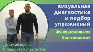 Как протестировать эффективность упражнений. Часть 1. Диагностика в прикладной кинезиологии