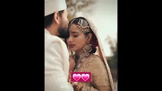 saboor Aly and Ali Ansari Wedding Highlights