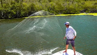 Castnetting THOUSANDS of fish - Butterflied Yellowtail Snapper! {Catch Clean Cook} US Virgin Islands