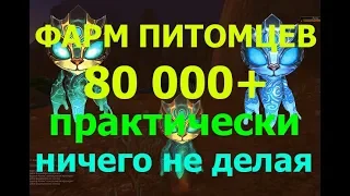 Фарм Питомцев ( 80к золота+ ) практически ничего не делая