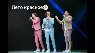 Группа Садко "Лето красное" #группасадко #садко #группа #music #музыка #рекомендации #популярное