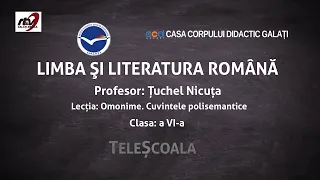 Limba Romana - Clasa 6 - ''Omonime. Cuvintele Polisemantice''