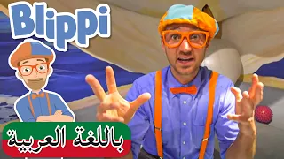 حلقة بلبي يزور متحف العلوم  | بلبي بالعربي | بليبي للصغار | Arabic Blippi Visits a Science Museum