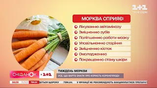 Дарує енергію, покращує зір, попереджає інсульт: біолог Ірина Єжель про користь моркви