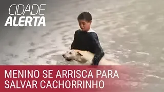 Comovente: criança resgata cachorro em enchente na zona oeste de São Paulo
