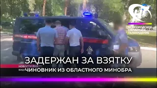 В Новгородской области за получение взятки задержан чиновник регионального министерства образования