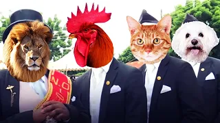 Dancing Funny Cat Dog Rooster Lion | Coffin Song Astronomia Animals Cover | Coffin Dance Meme |