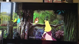 Disney Sleeping Beauty 1959 I Wonder