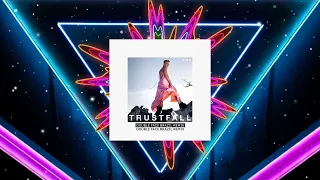P!nk - Trustfall (Double Face Brazil Remix)
