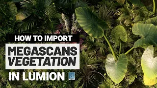 How to Import Megascans Vegetation in Lumion