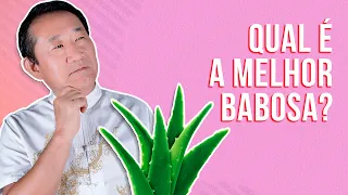 Qual a melhor BABOSA? Aloe arborescens ou Aloe barbadensis?