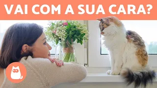 7 sinais de que o seu GATO CONFIA EM VOCÊ 😻