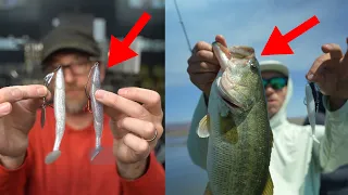 The Most Underrated Swimbait To Catch Big Spring Time Bass?!