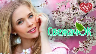 СВЕЖАЧОК НОВИНКИ ЛЕТА ♫ СБОРНИК КРАСИВЫХ ПЕСЕН WLV ♫ RUSSISCHE MUSIK ♫ RUSSIAN MUSIC HITS