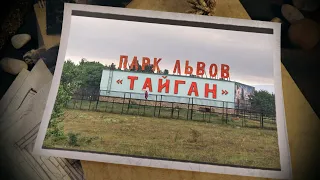 Ужасы и прелести Сафари парк львов Тайган. Тревел шоу "Путешествуй с нами" 1 сезон 4 серия. Крым