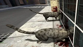 Annoying Kids as a Cat in Gmod Dark RP...