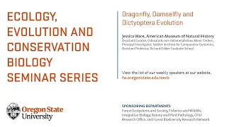 Jessica Ware: Dragonfly, Damselfly and Dictyoptera Evolution