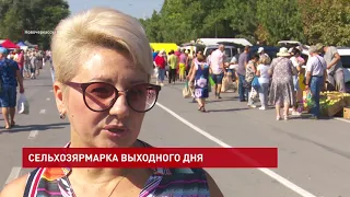 Сельхозярмарка в Новочеркасске