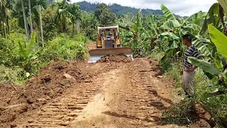 Amazing, BULLDOZER D6R XL works to tidy up the old abandoned plantation road