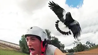 11 Insane Animal Attacks Caught on Camera While on a Bicycle