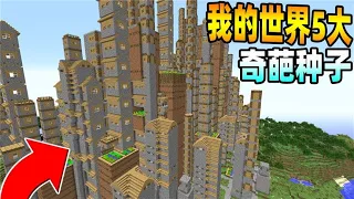 Minecraft：我的世界5大最奇葩的种子！豪华村庄海盗船？【梦轩dada】