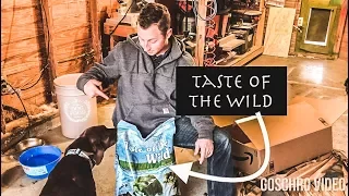 Taste of the Wild Dog Food Review